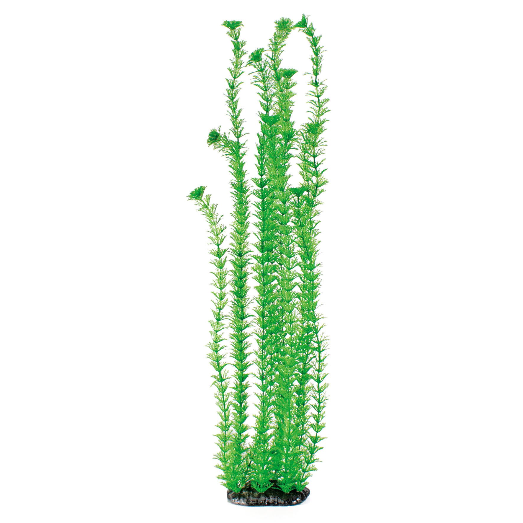 Amazonas Fantasy Plant Plant LP grün