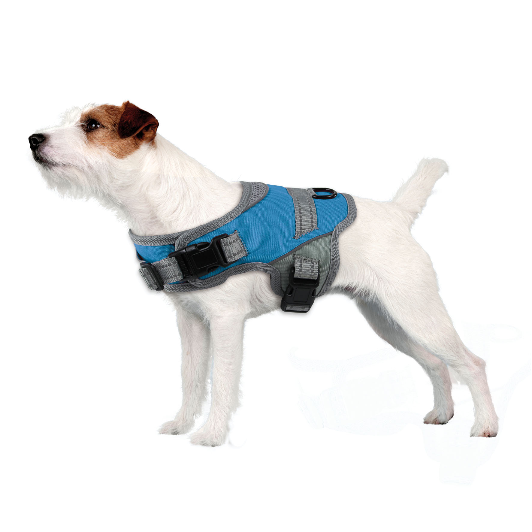 swisspet harnais Onyx, réfléchissant, bleu XXS
