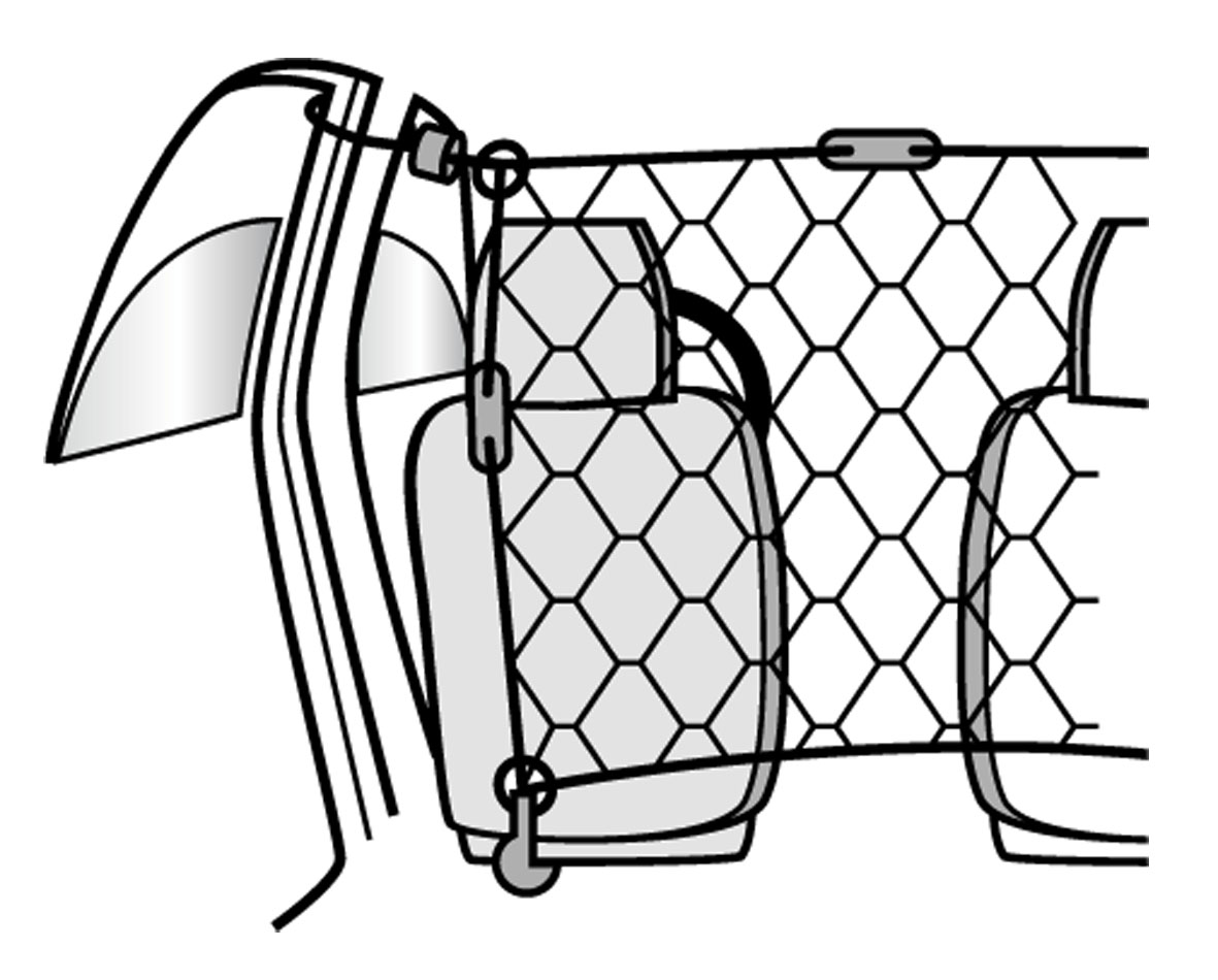 Rete di sicurezza auto 1