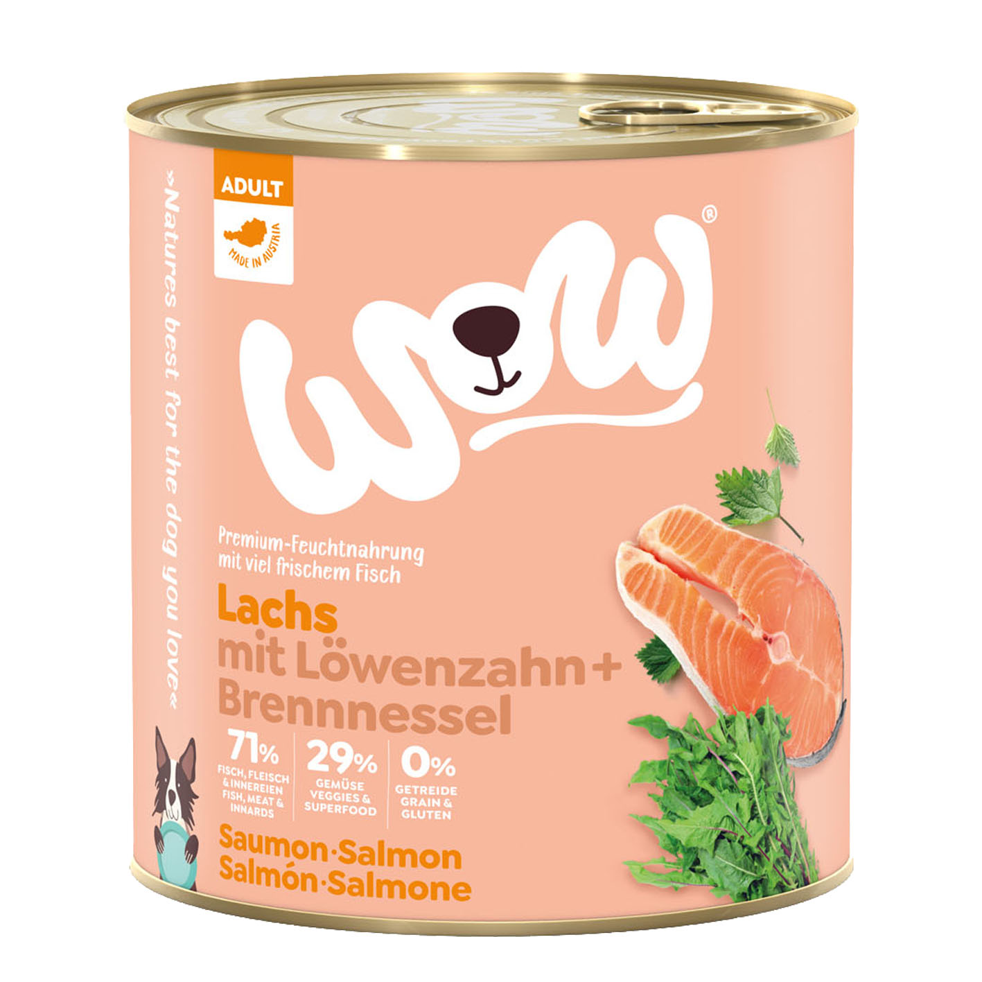 WOW Adult saumon avec viande, 800g