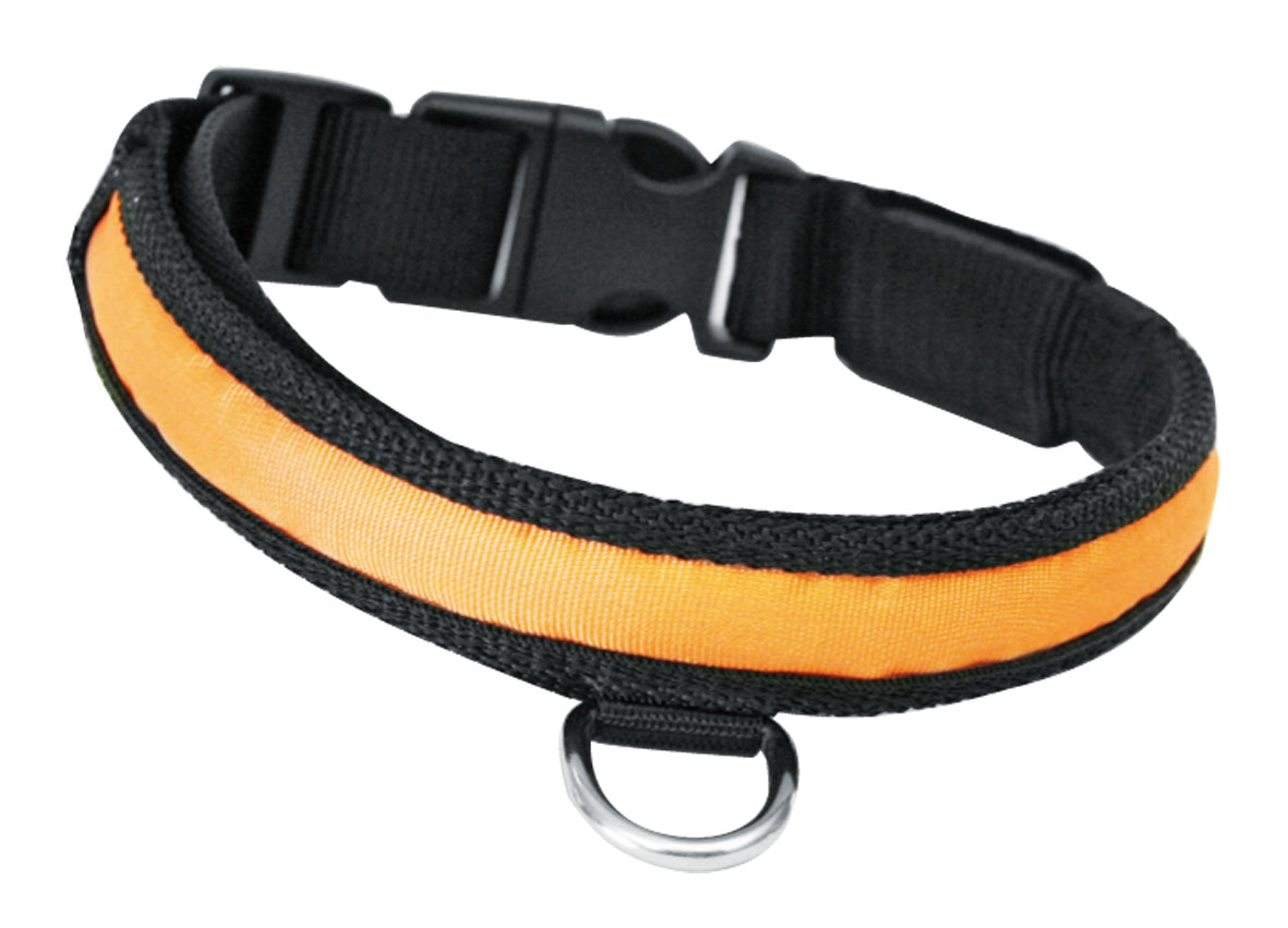swisspet Nylon Hunde-Leuchthalsband