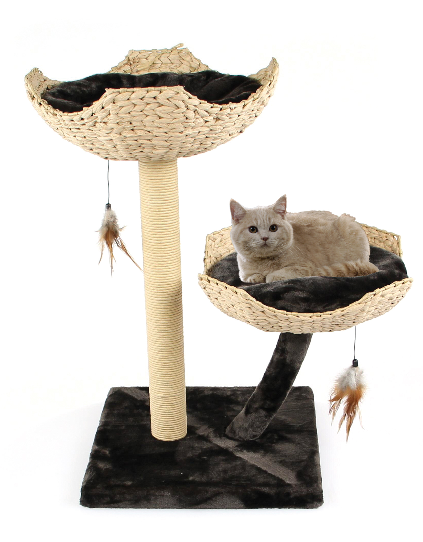 swisspet Cat Tree Treelife Treelife Sorio