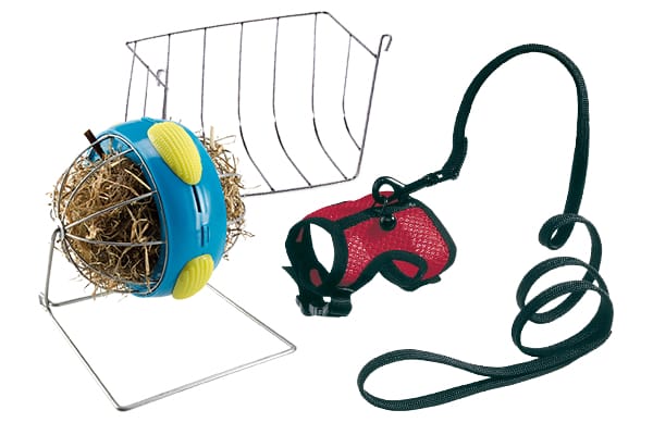 Accessoires