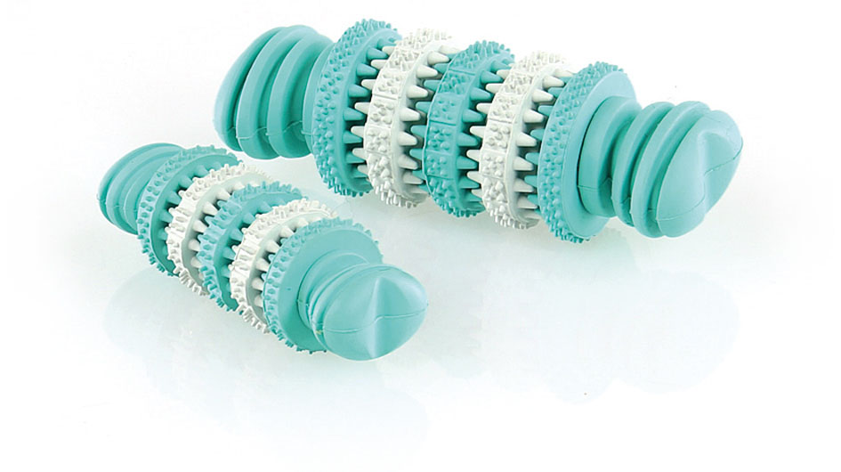 swisspet Hundespielzeuge Dental-Bone Mint S, 11.5cm