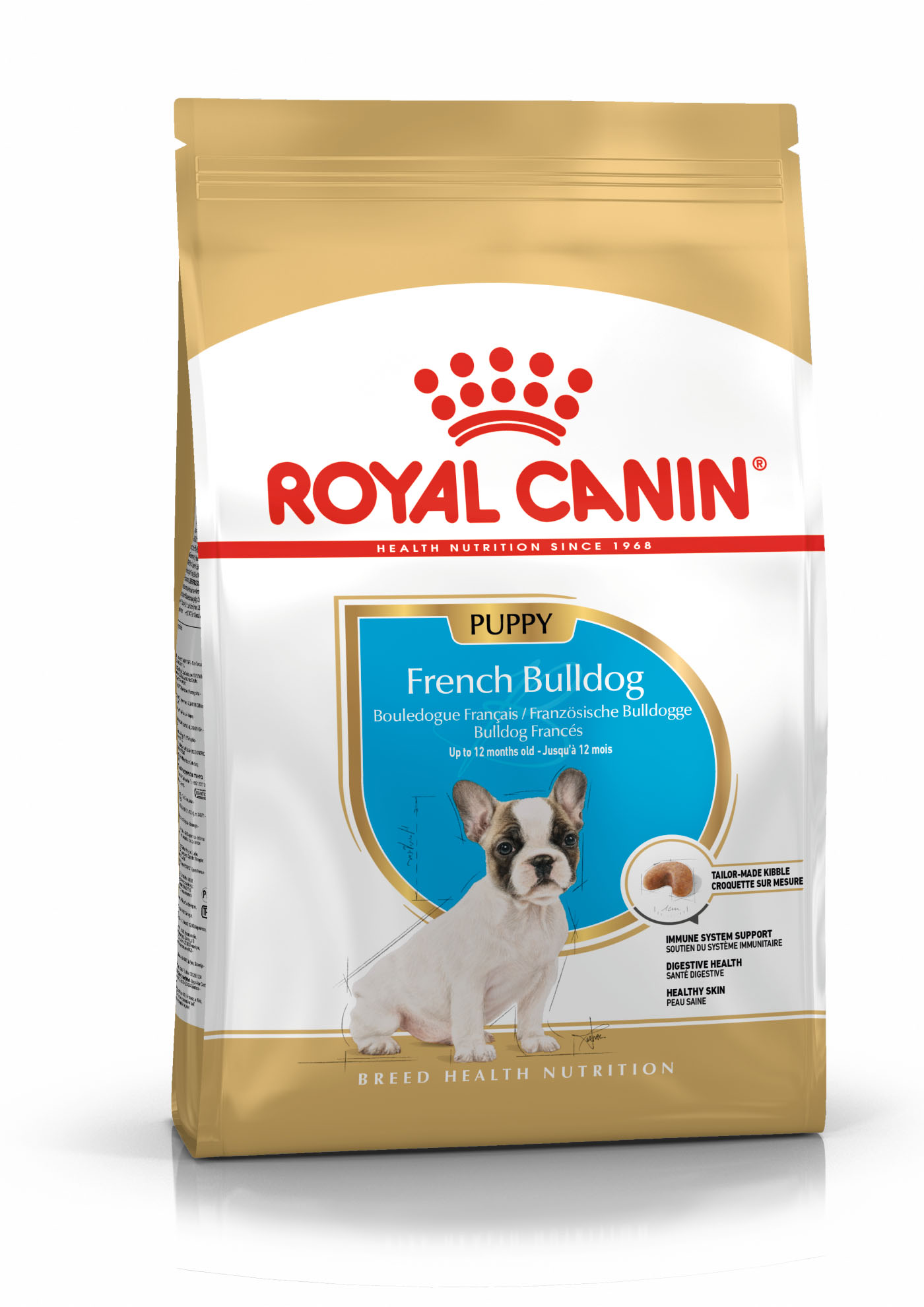 RC BHN French Bulldog Puppy 3kg