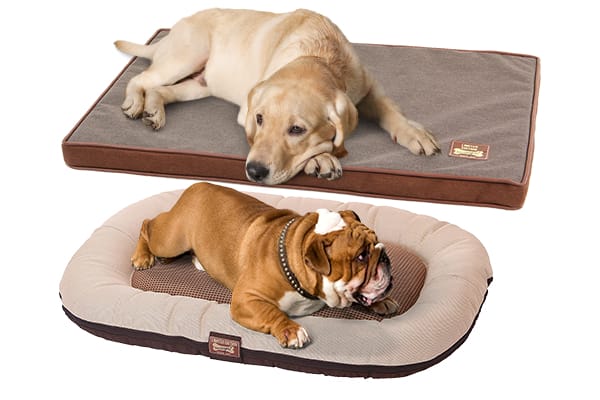 Posti letto per cani