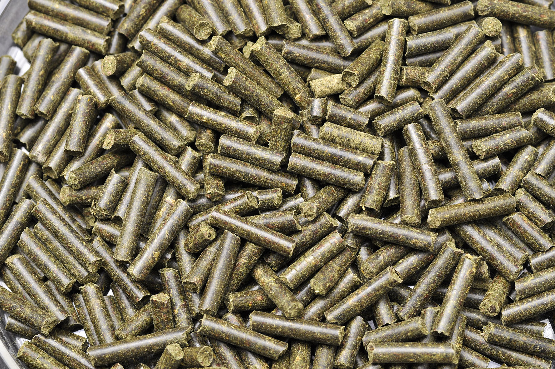 Dennerle Shrimp King Protein 30g