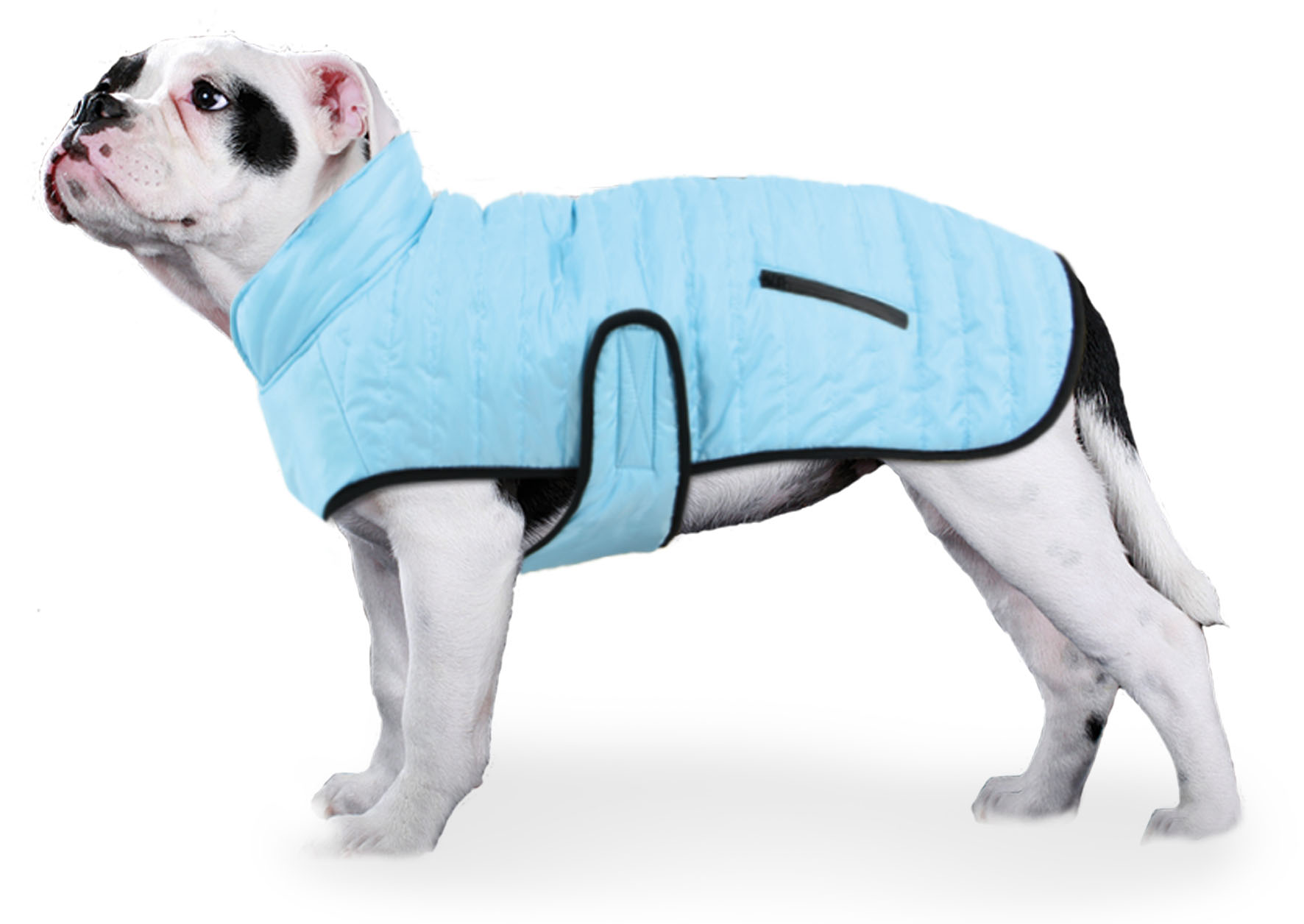 swisspet Cappotto per cani Pump-it, azzurro