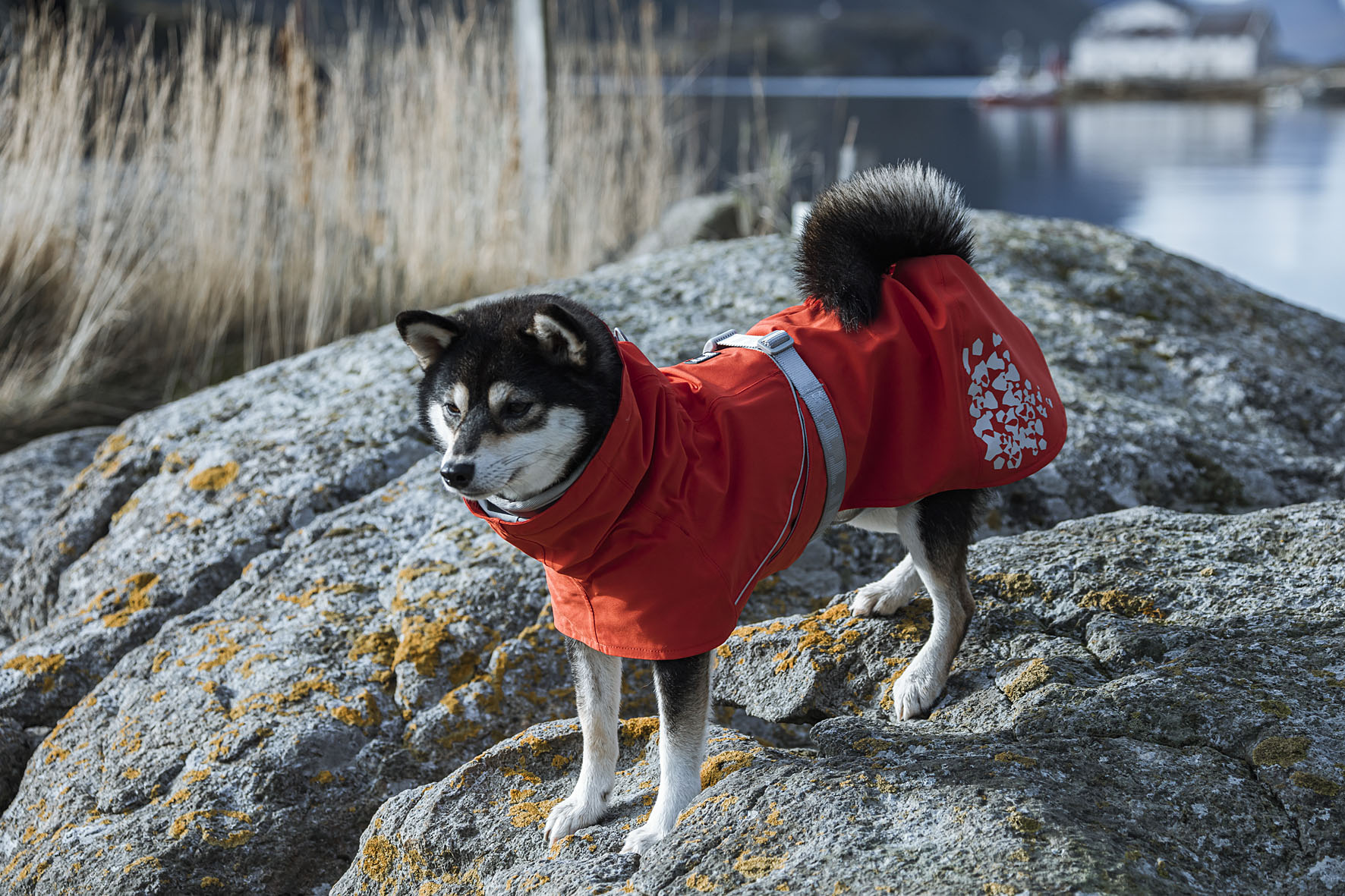 Hurtta Monsoon Coat Eco rosehip, Gr. 60