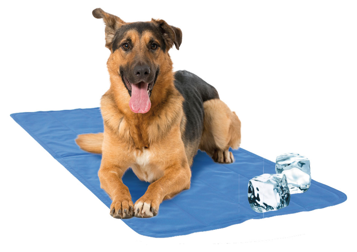 swisspet Heimtierkühlmatte COOL