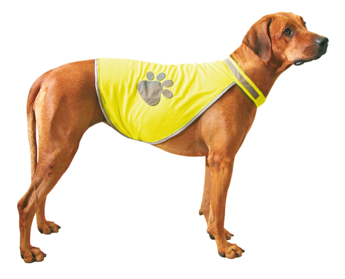 swisspet gilet de sécurité Safety-Dog L: cou: 48-56cm, ventre: 68-78cm