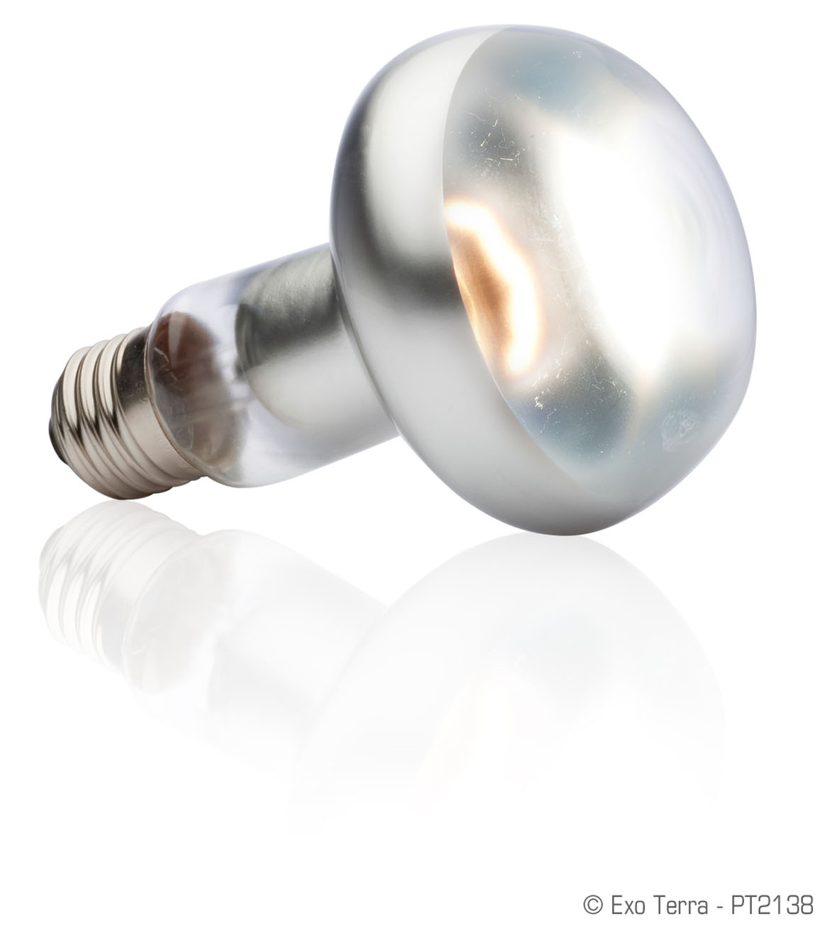 Exo Terra Intense Basking Spot