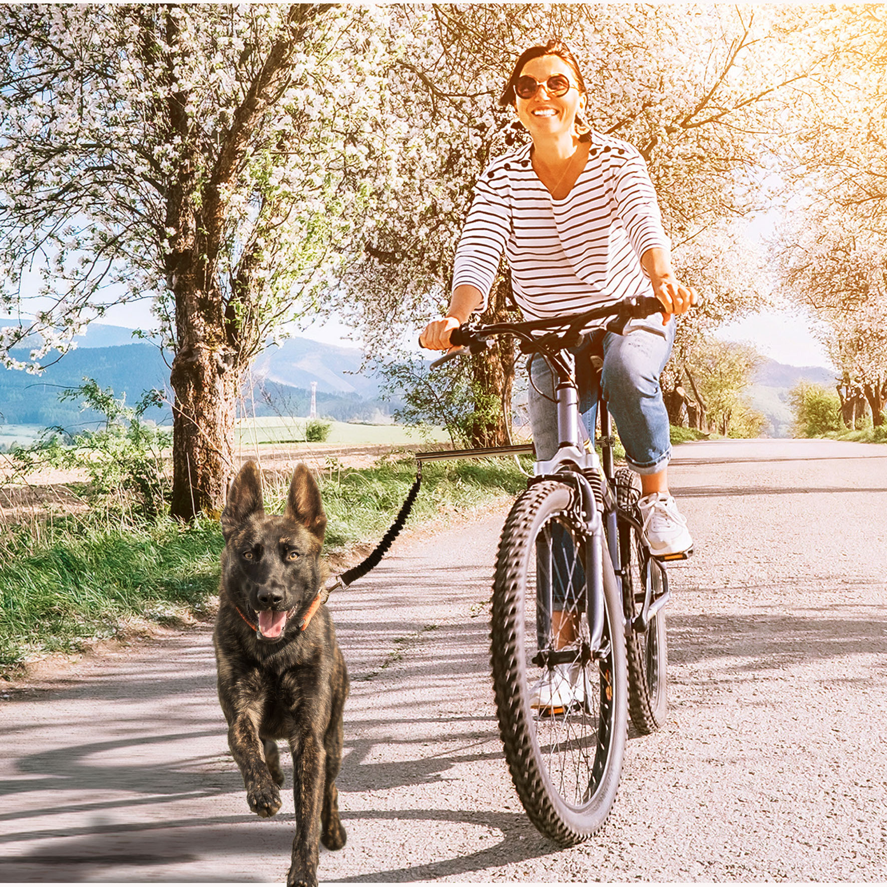 swisspet Fahrradhalter Run inkl. Zugbremse