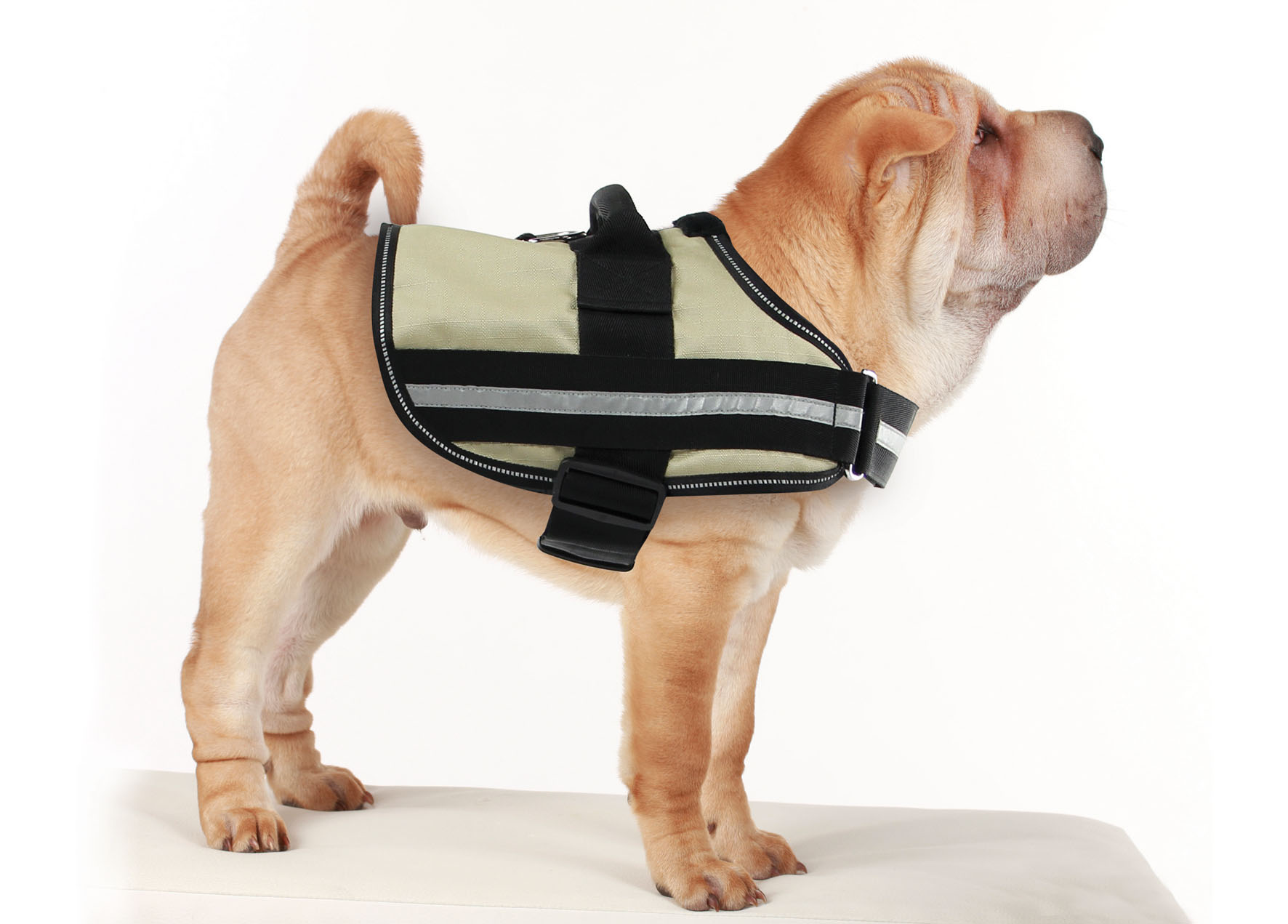 swisspet harnais Arrow, beige, S=40-45cm