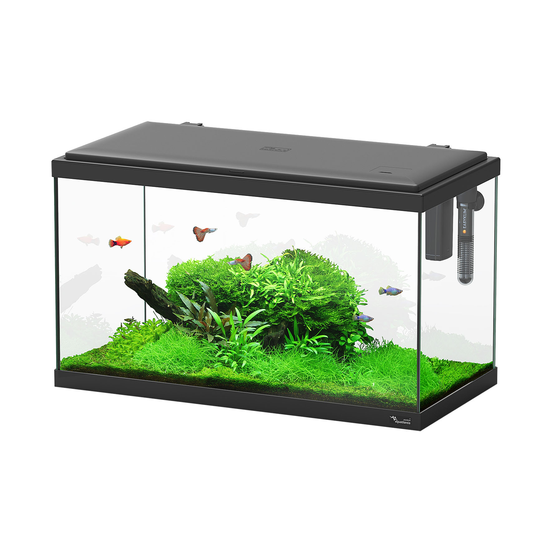 Aquarium Aquatlantis Explorer Paris 60 LED