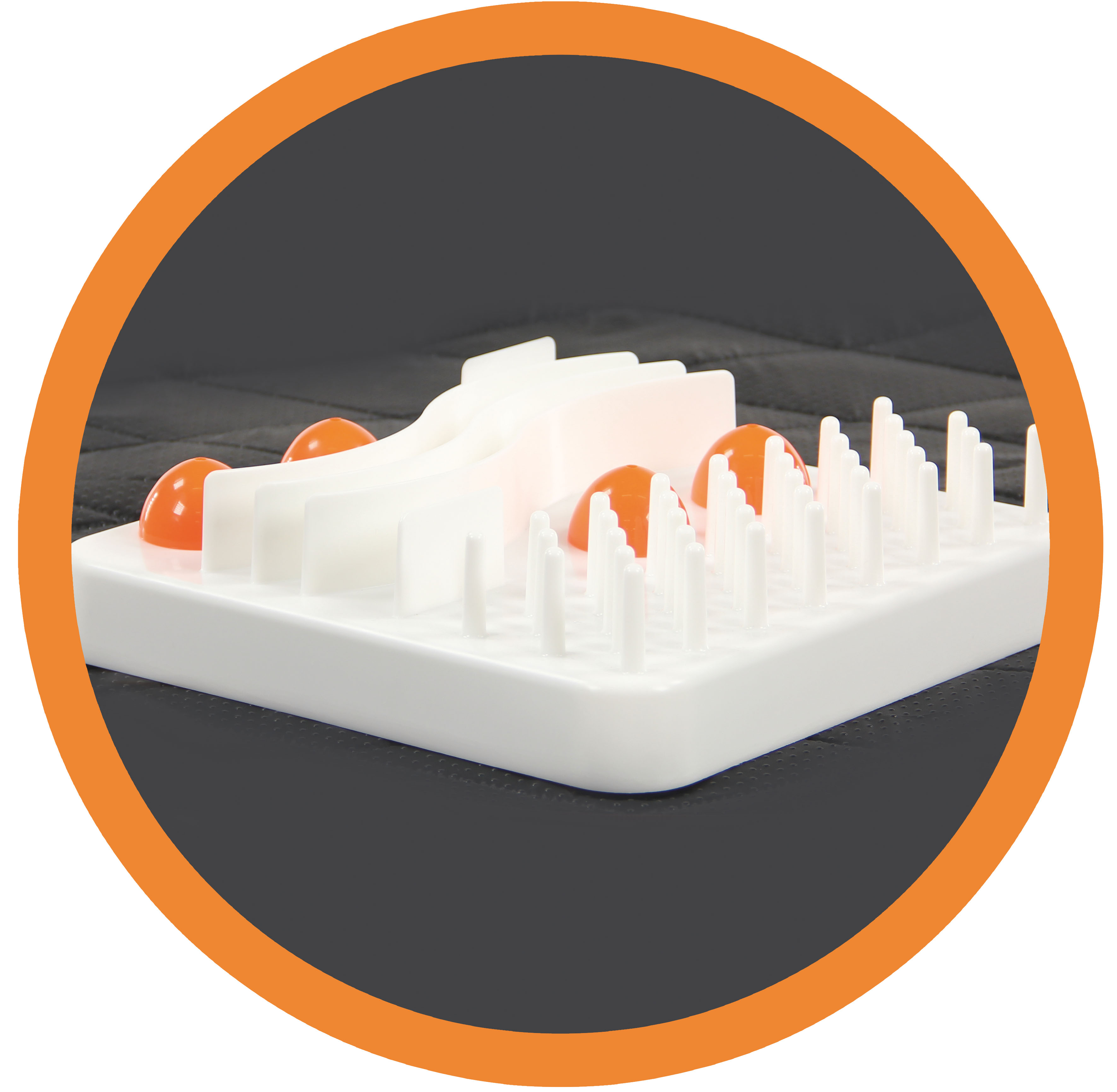 swisspet Cleverplay Cat IQ Training