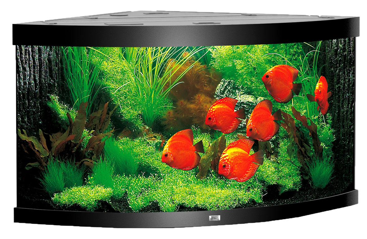 Juwel Eck-Aquarium Trigon 350, schwarz