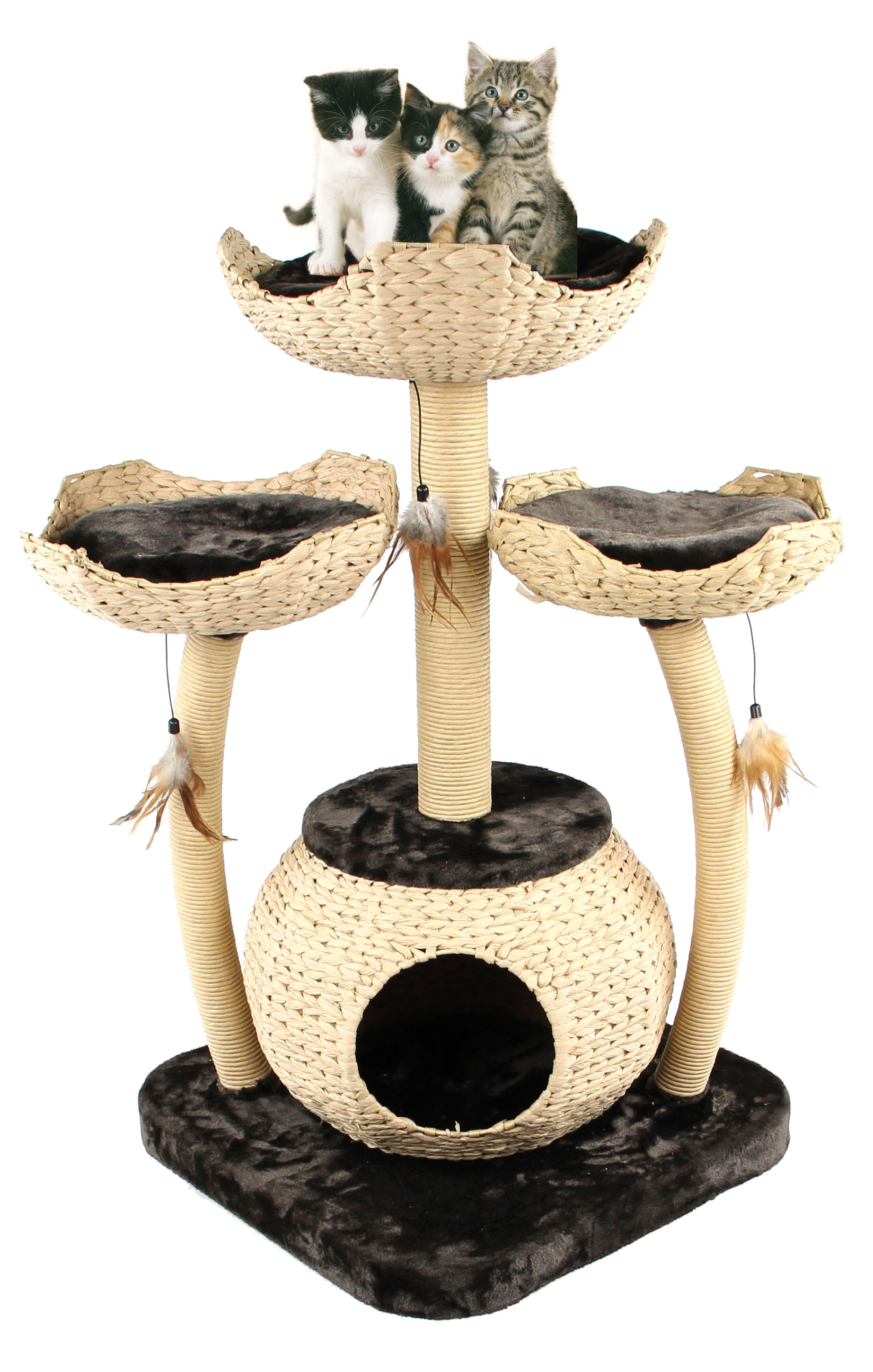 swisspet Cat Tree Treelife Famiglia Cat Tree Treelife