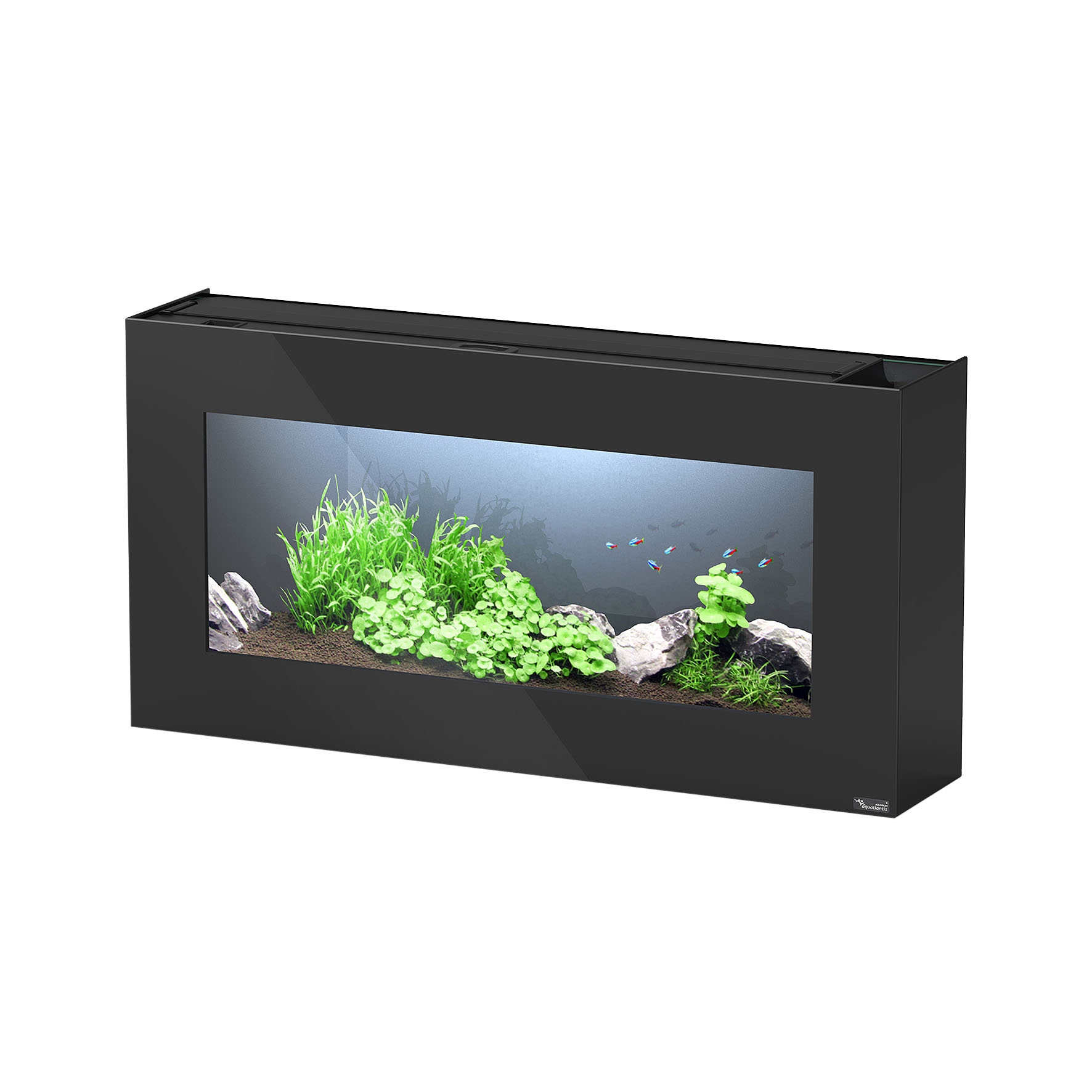 Aquarium Aquatlantis Aquaplasma noir