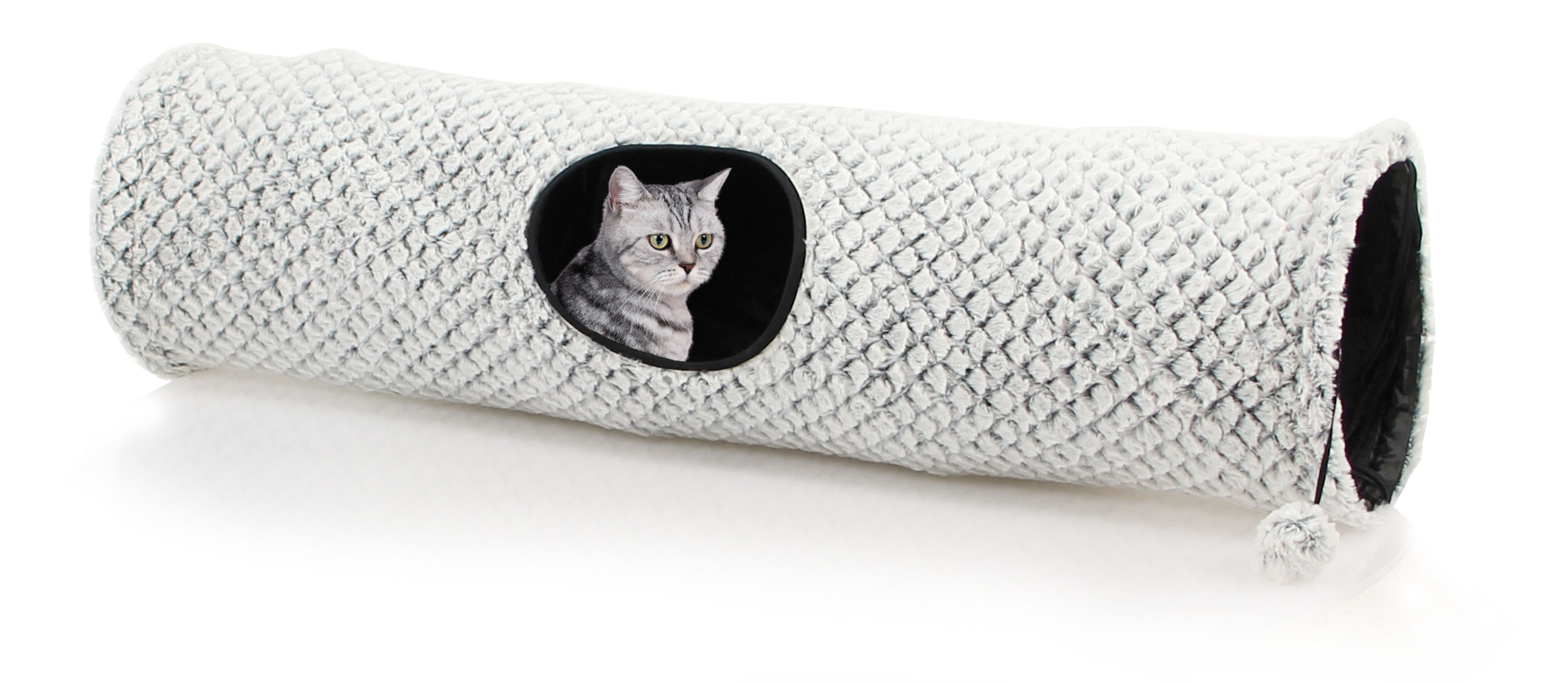 swisspet Rascheltunnel Fideris