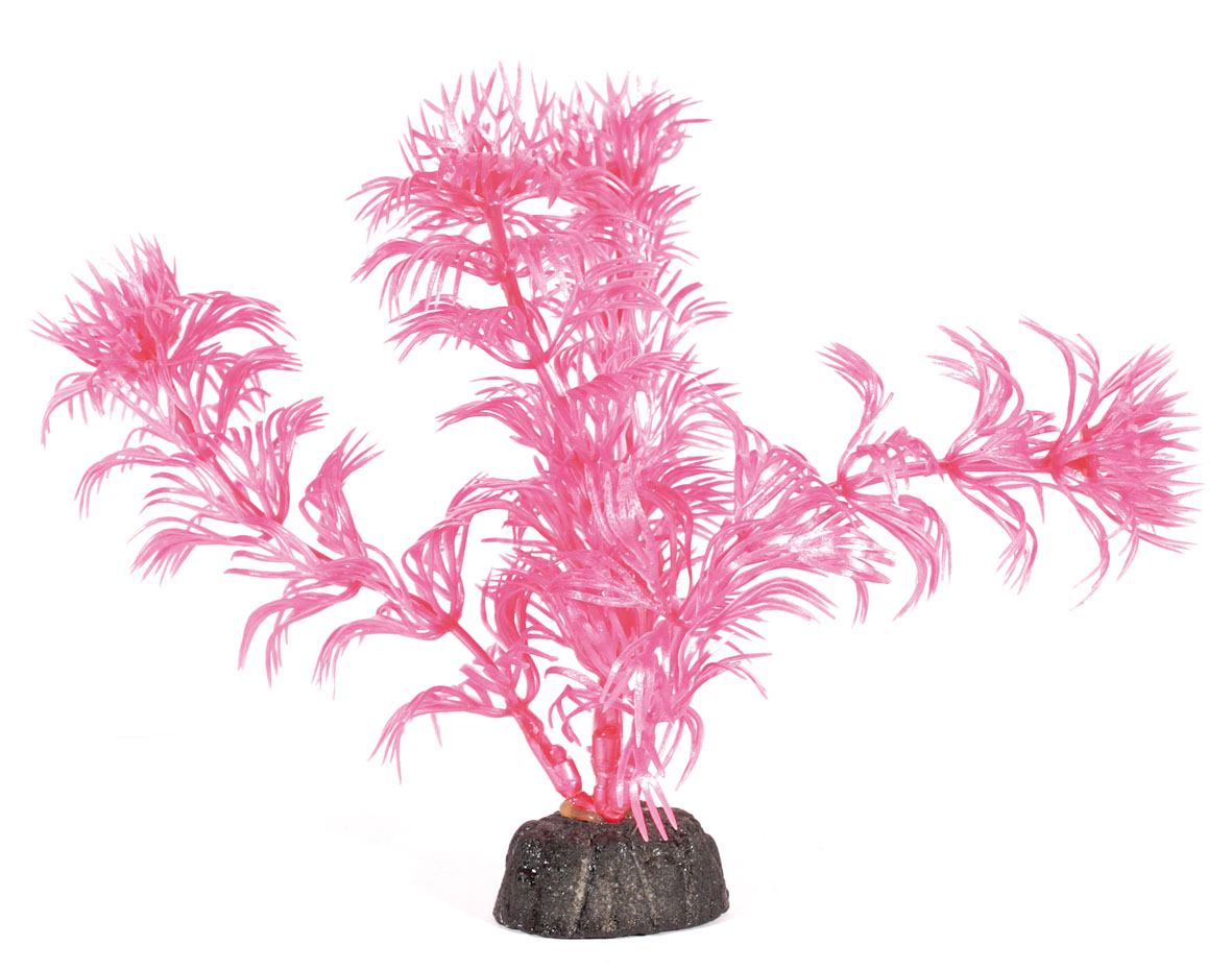 Amazonas Nano Kunststoffpflanzen, 12cm