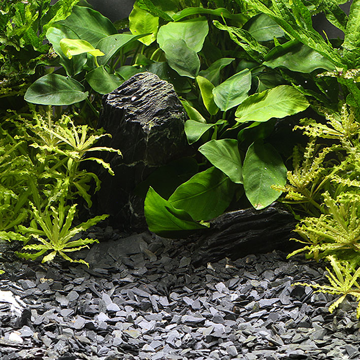 Dennerle Natural Gravel Kongo, ø 3-8mm, 500g