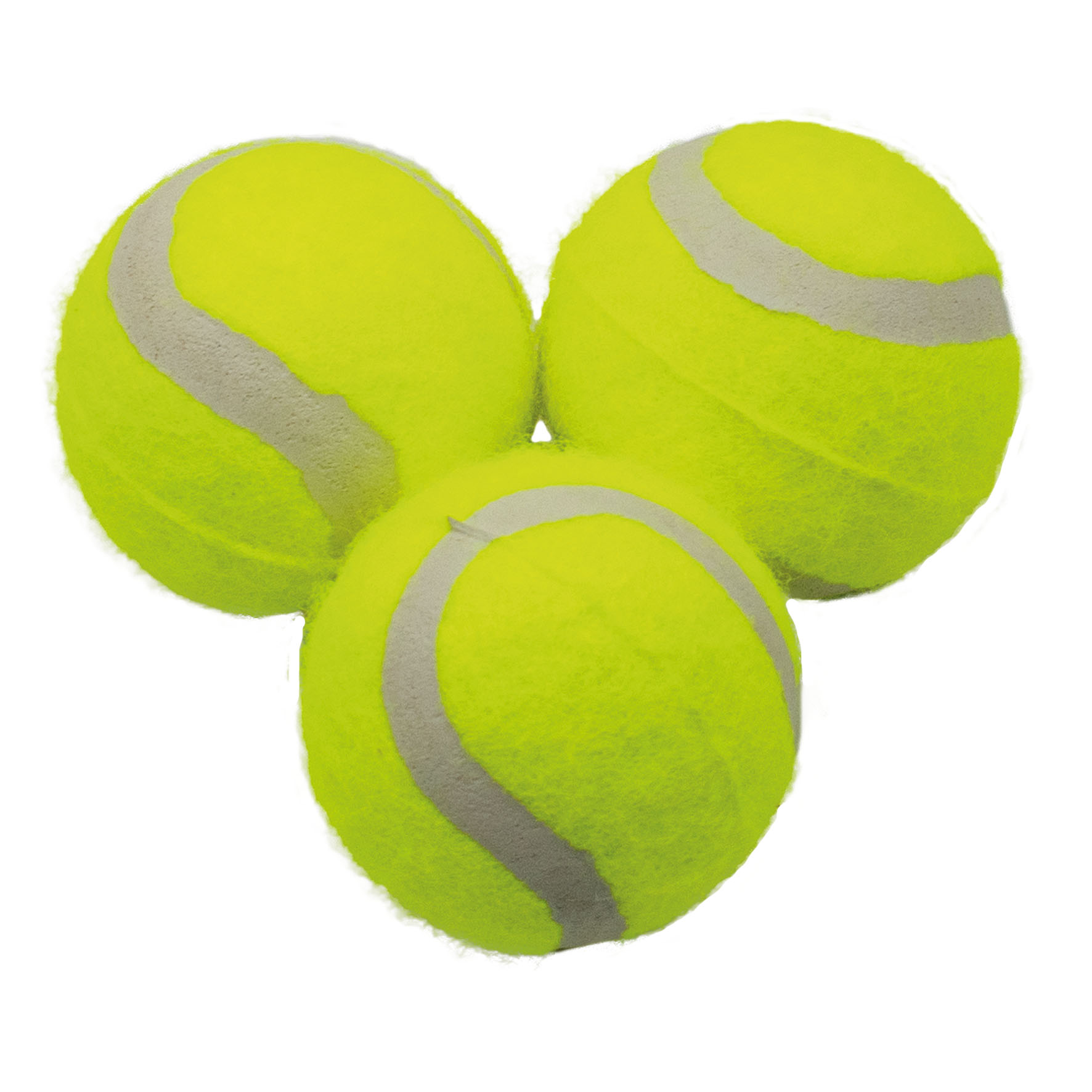 Pointer Mini Tennisball-Wurfautomat 2.0