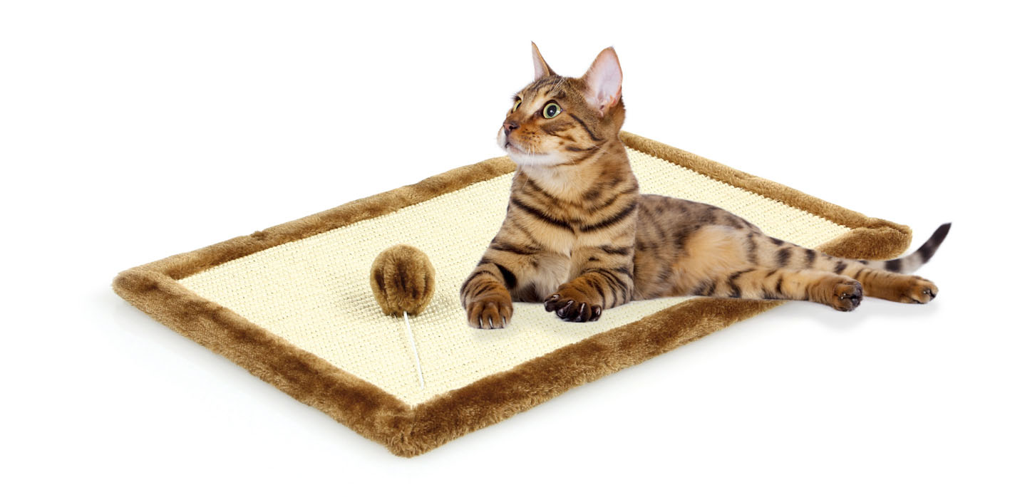 swisspet Kratzmatte Felipe mit Catnip