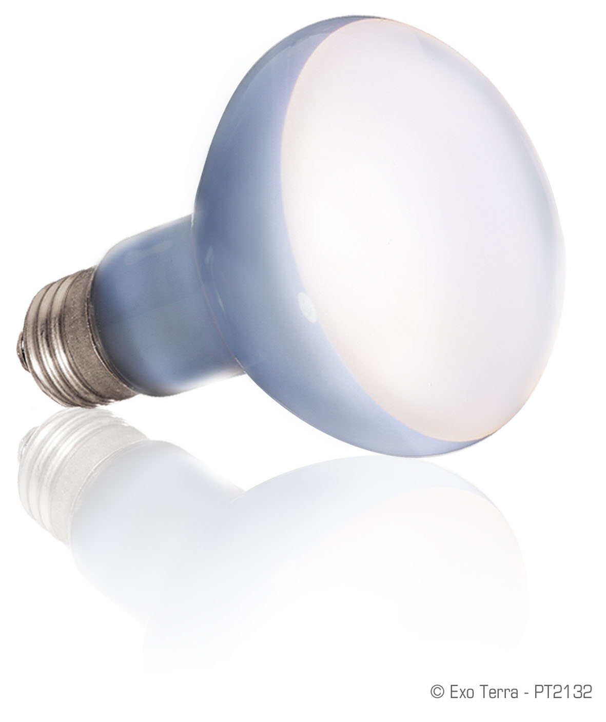 Exo Terra Daylight Basking Spot