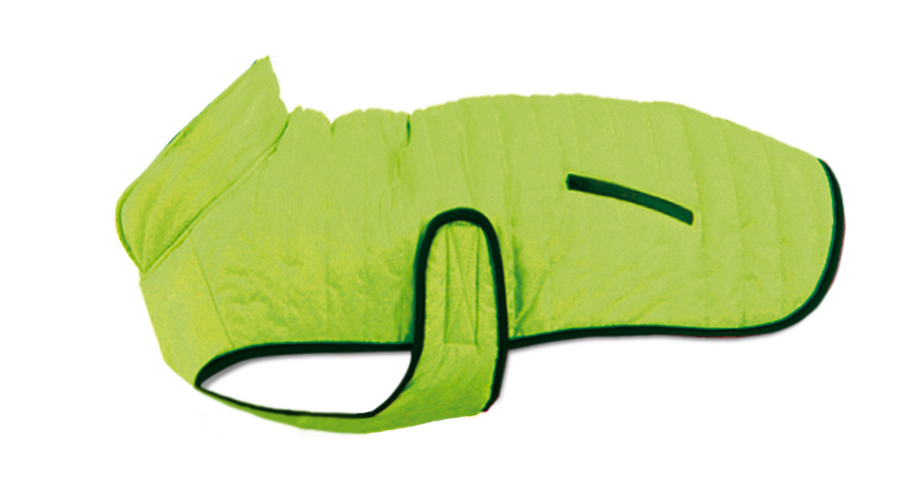 swisspet Cappotto per cani Pump-it, verde chiaro
