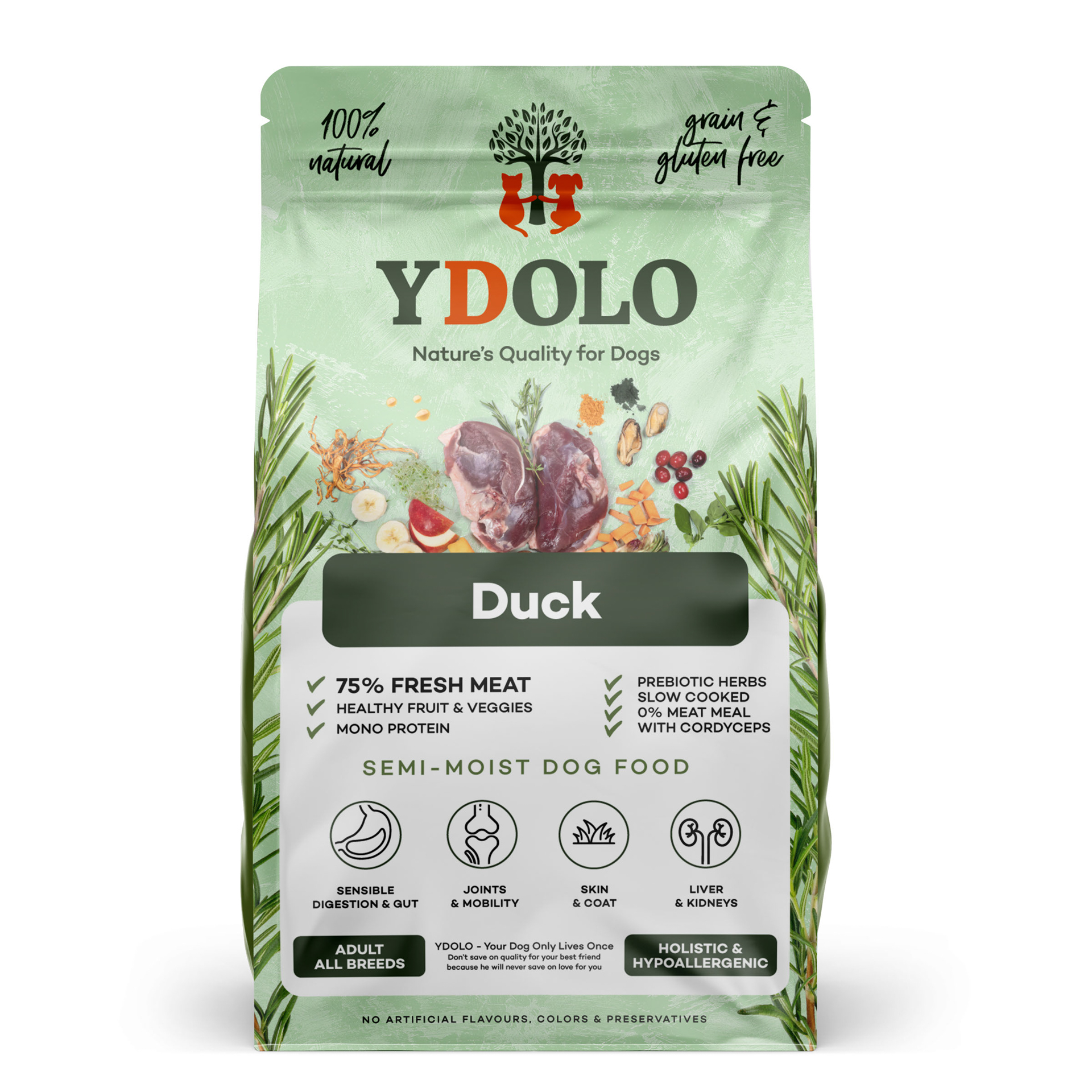 YDOLO Healthy & Fresh Ente 10kg