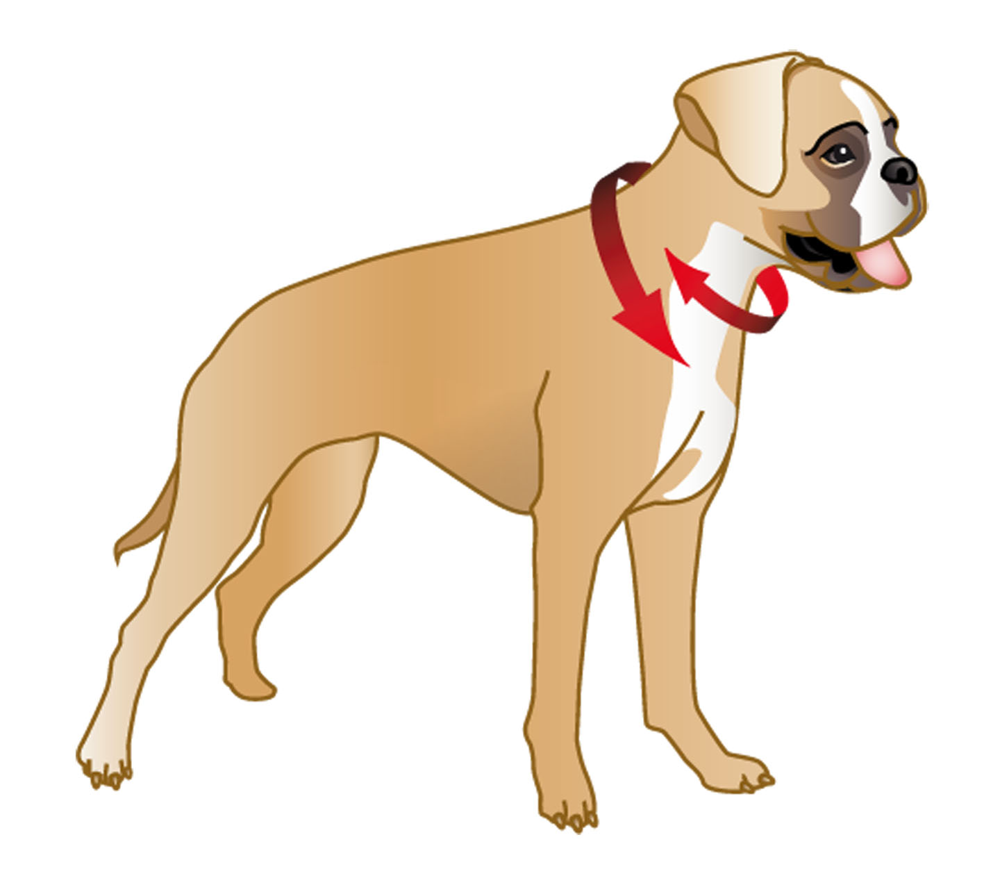 swisspet veste pour chiens Dogychiller – contre le stress