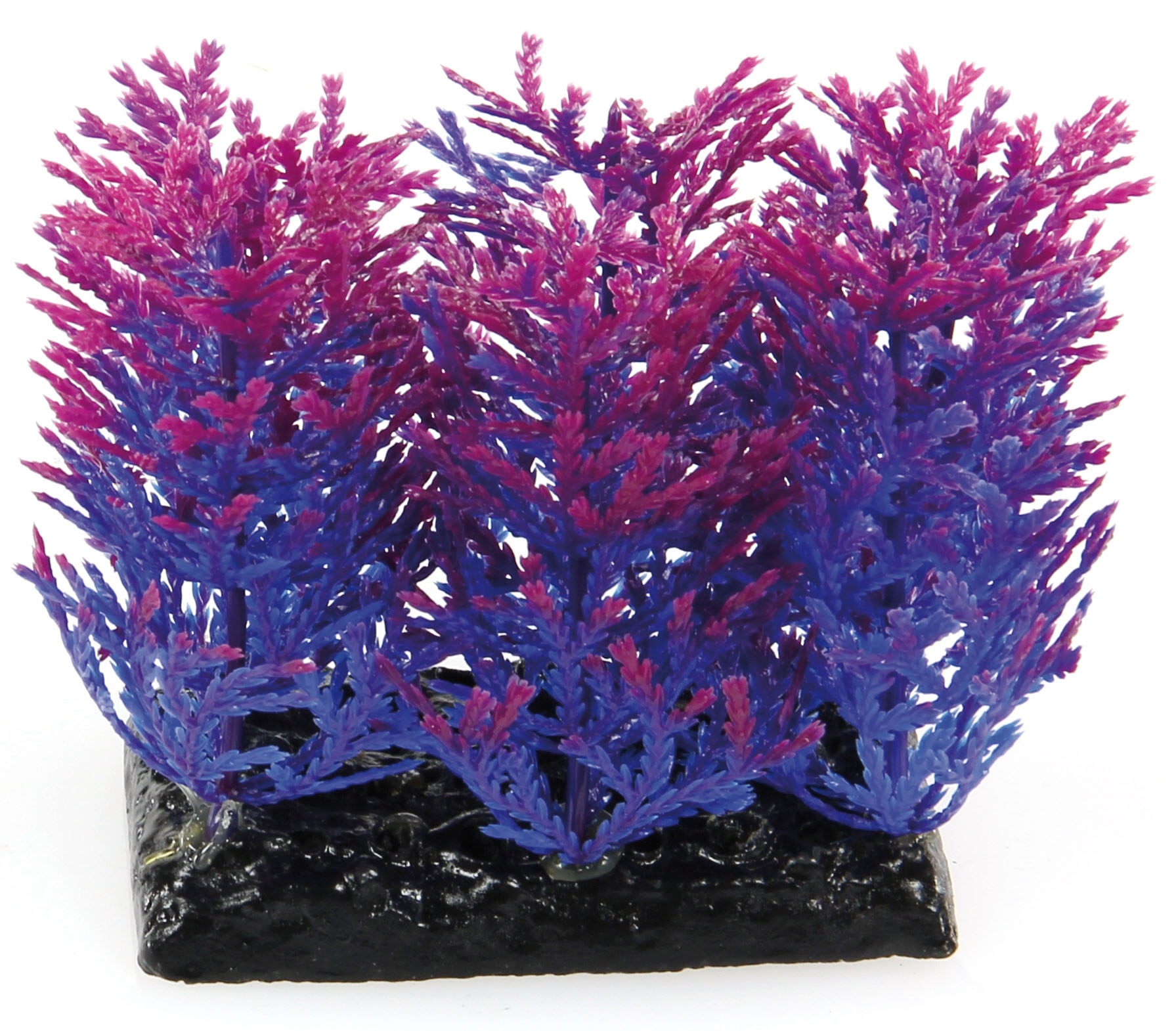Amazonas Fantasy Plant PP violette-bleue