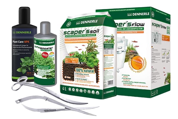 Aquascaping