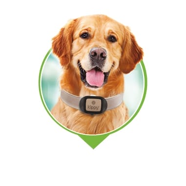 GPS-Tracker