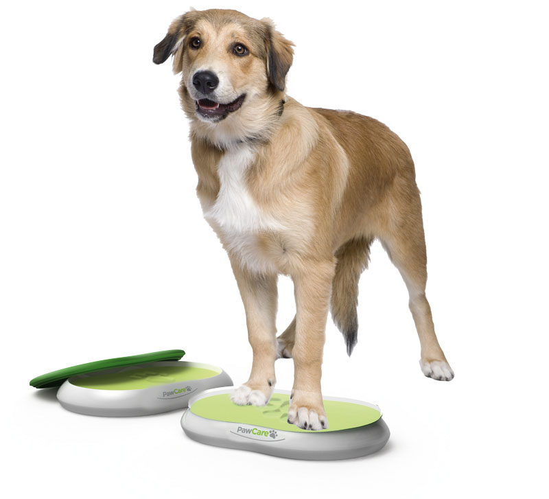 PawCare Large Container 380g