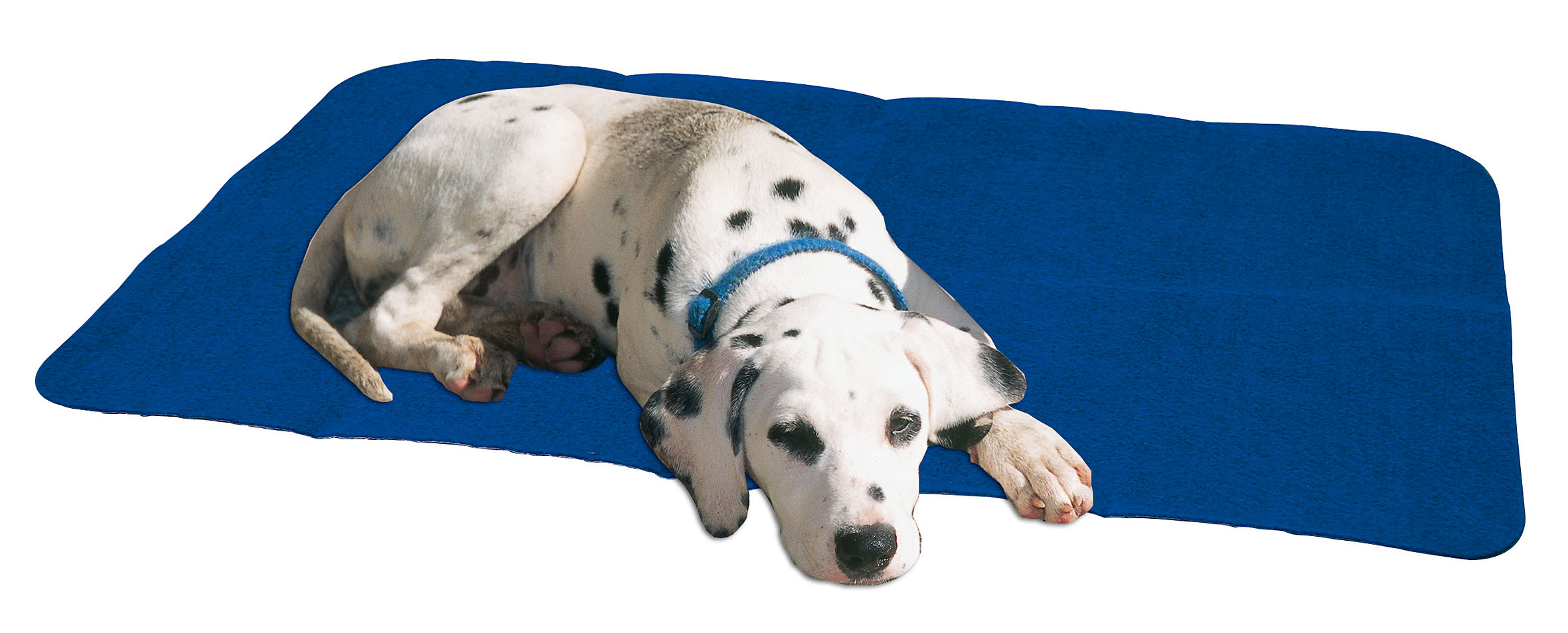 swisspet Hygiene-Hunde-Matte, 50x71cm