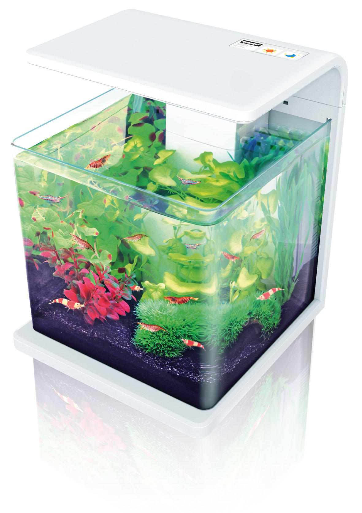 Amazonas LED Aquarium E15, weiss