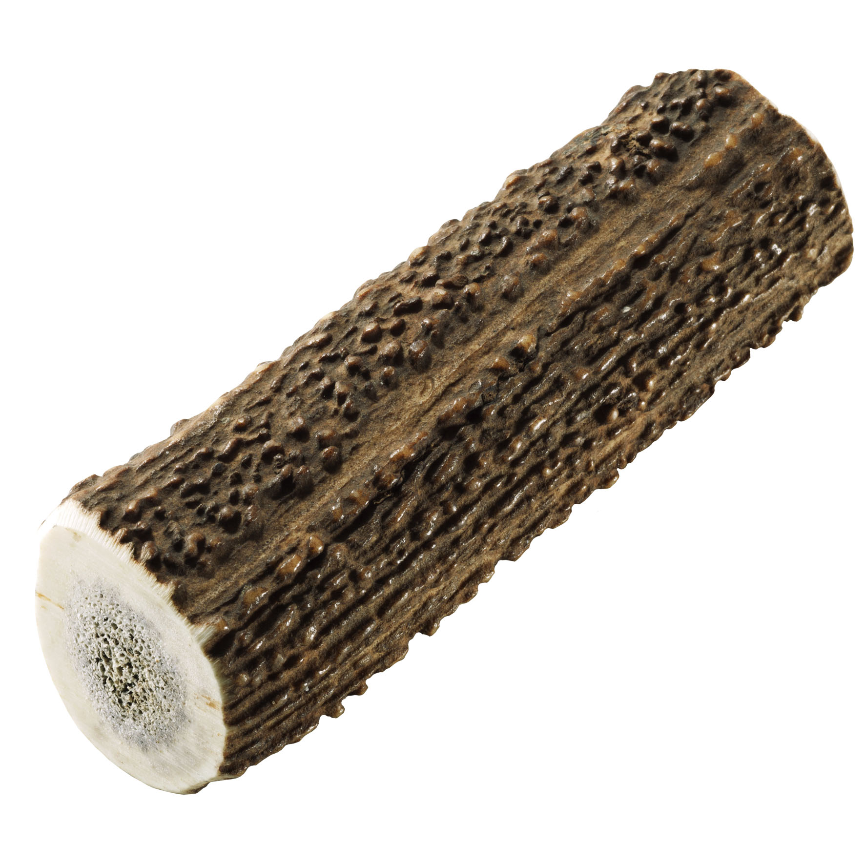 Chewies Asta in corno di cervo rosso M 